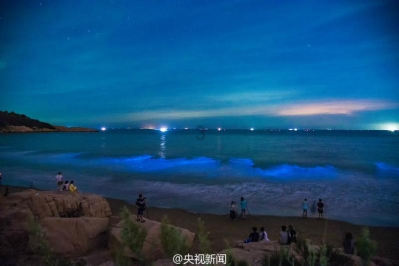哈尔滨巨龙冰雕疑被小孩掰掉门牙