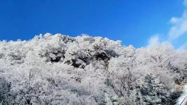 燃烧吧大脑免广告最新版
