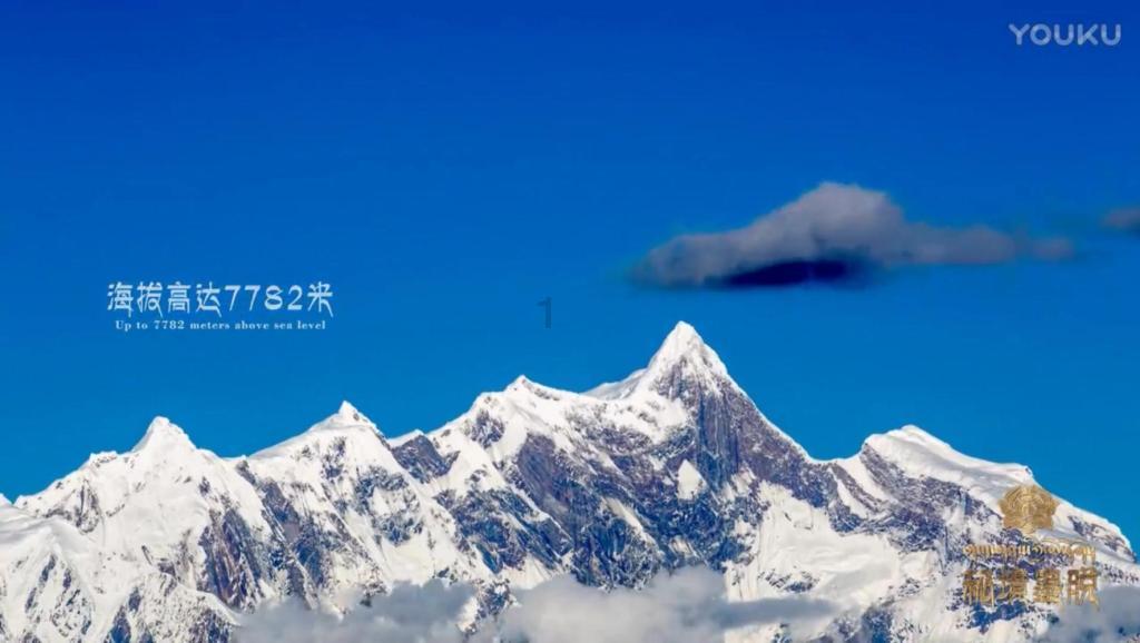 万词王