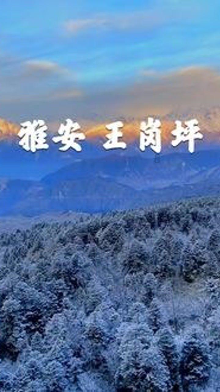 央行：健全货币政策和宏观审慎政策双支柱调控框架，实现币值稳定和金融稳定双目标