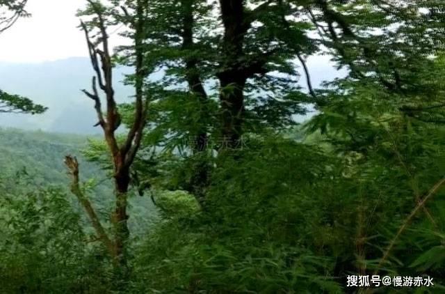 拯救胖男孩