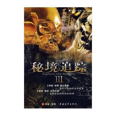 拯救电力塔的泰坦