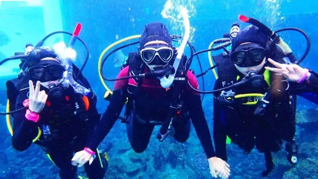 稳居济南第一大外贸主体地位！济南市民营企业去年实现进出口值1384.2亿元