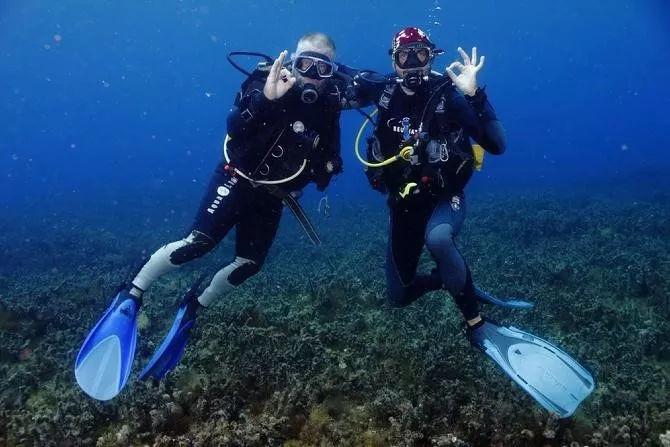 海滩小镇逃生