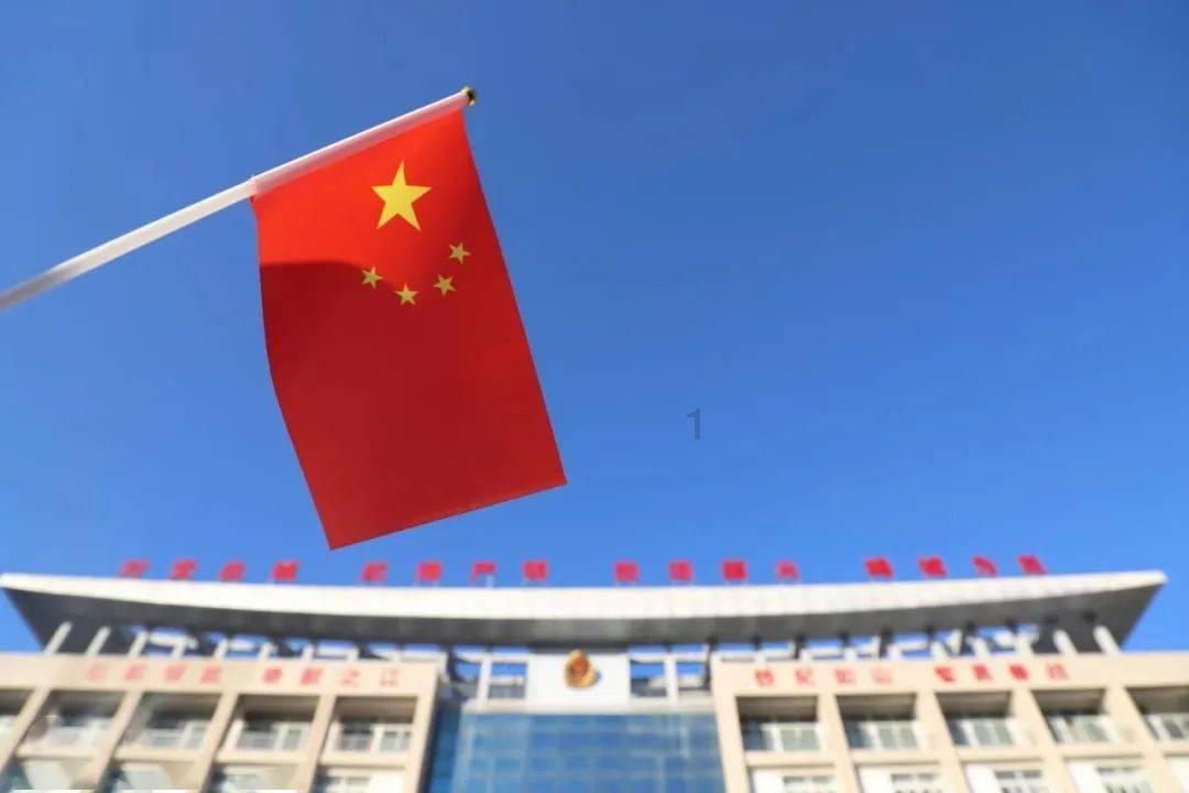 拯救小松鼠