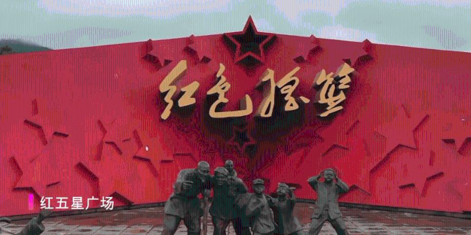 优雅的精灵