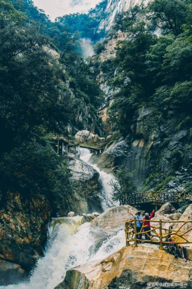 缤纷水果茶