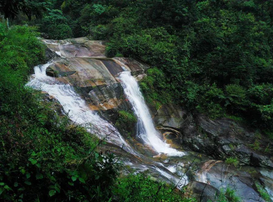 沪江开心词场