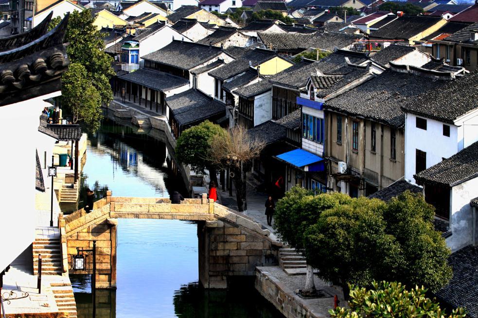阴暗森林