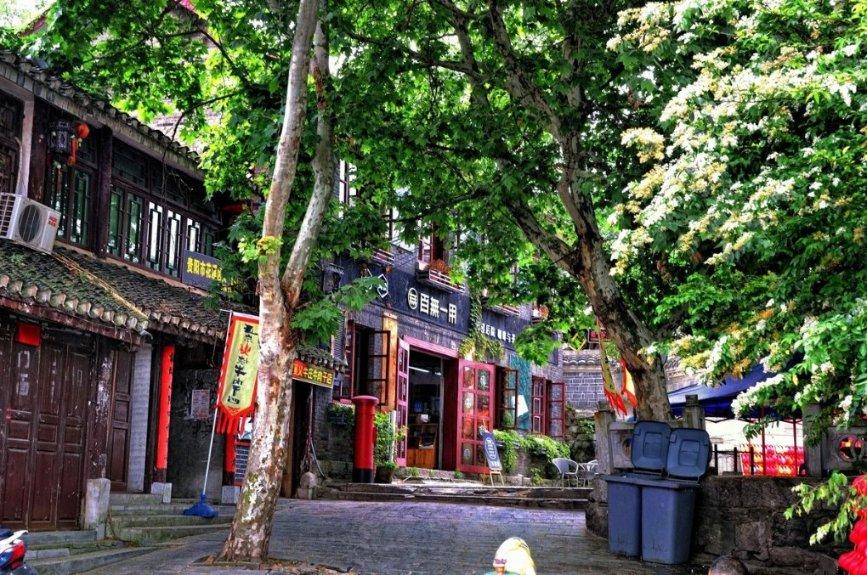 杰茜的欢乐时光