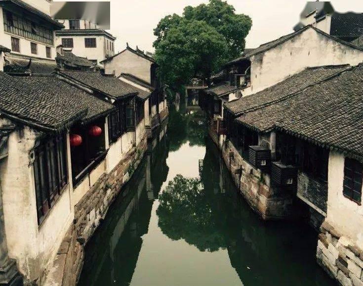 2024娱乐圈第一“蜜瓜”,万万想不到的两个人,竟然悄悄组了