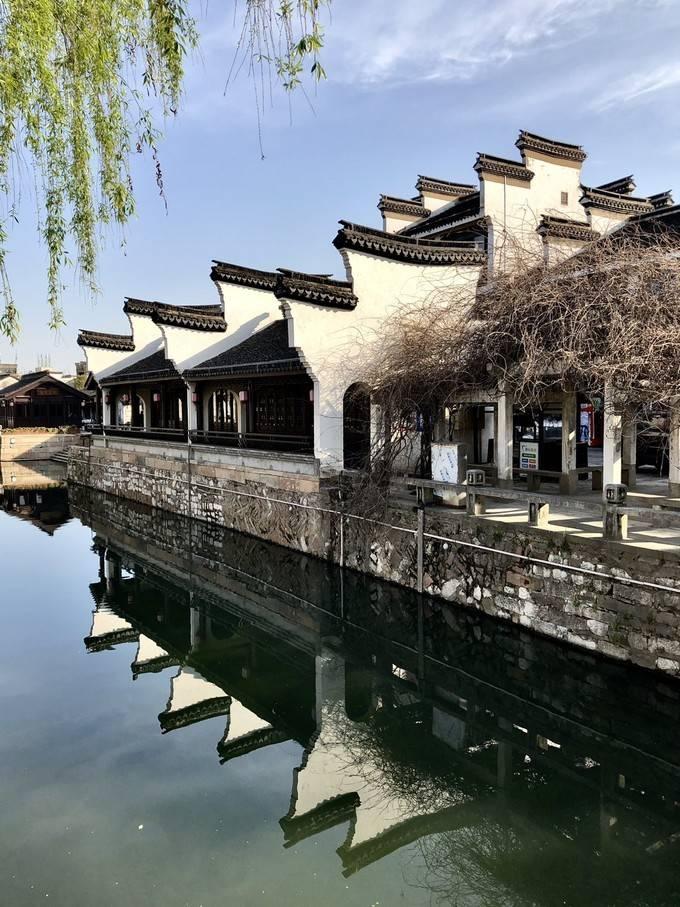 逃离大犀牛出没地