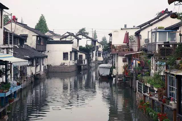 【委员风采】省政协委员韦勇：推动本地自动驾驶汽车试点上路