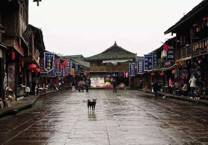 燃烧吧大脑装瓶子游戏