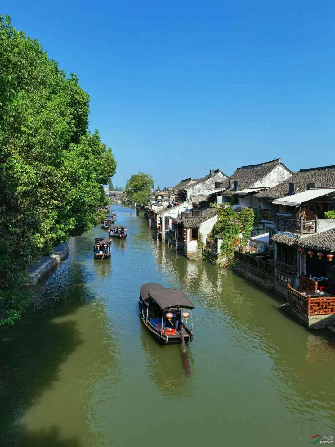 “双顶男孩找不到，双顶女孩没人要”看看你家孩子是双顶吗？