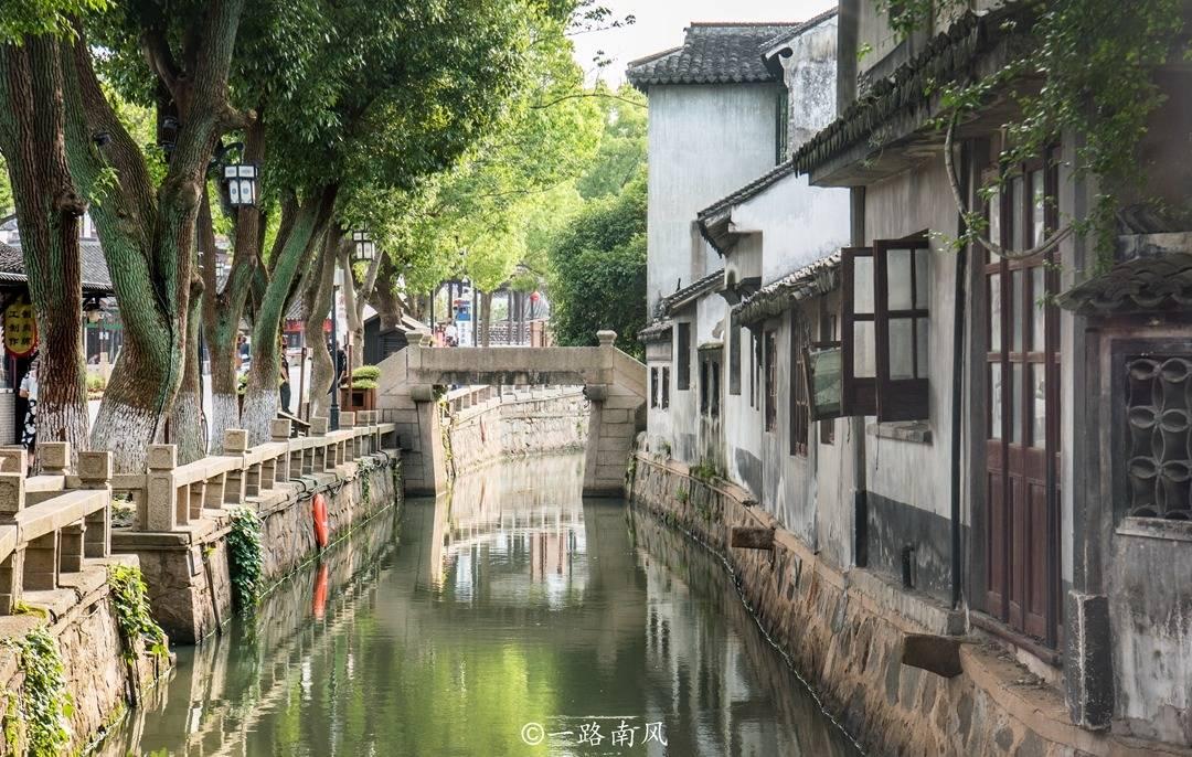 偶像经纪人