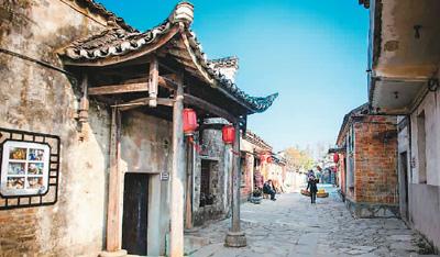 动物帮帮忙保卫家园