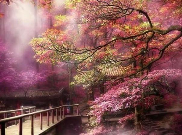 吃烧烤会致癌吗-专业有问必答平台