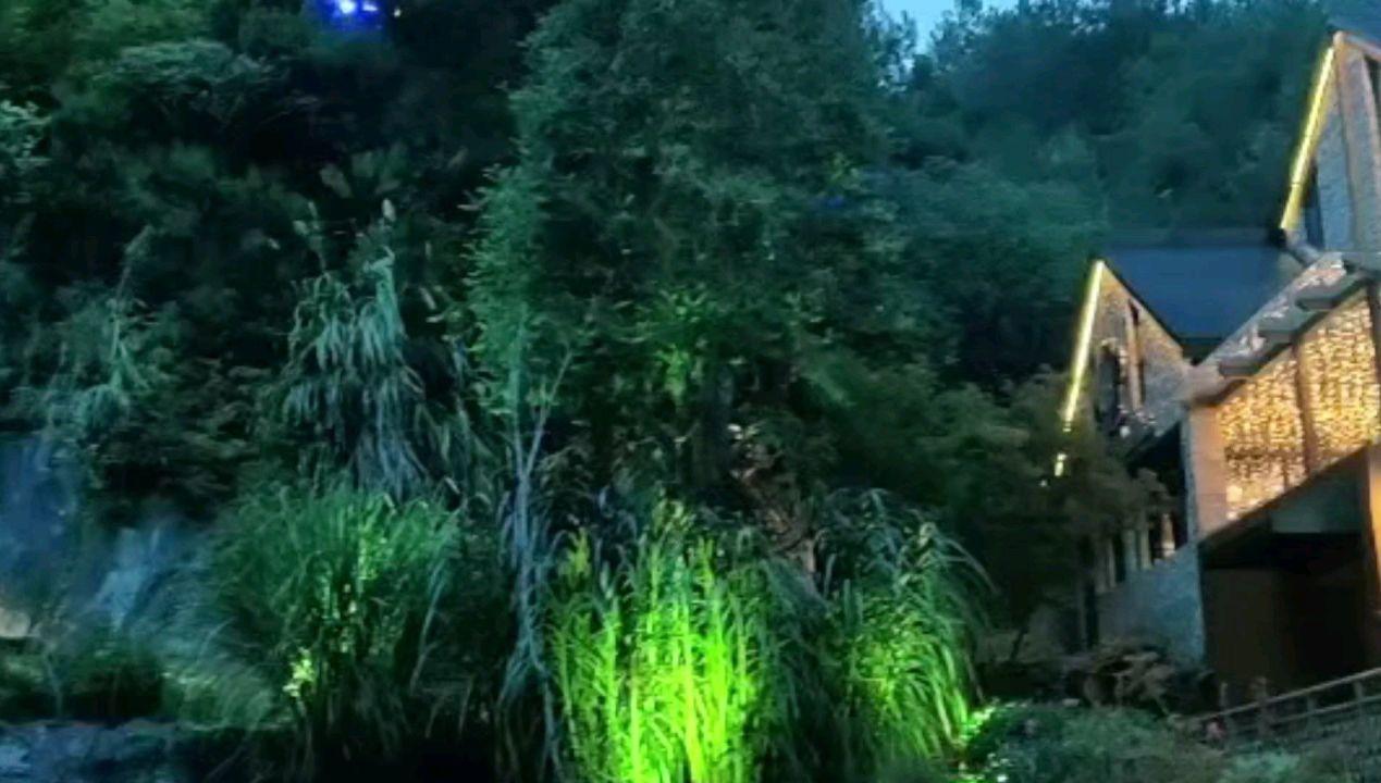 追云者编年史
